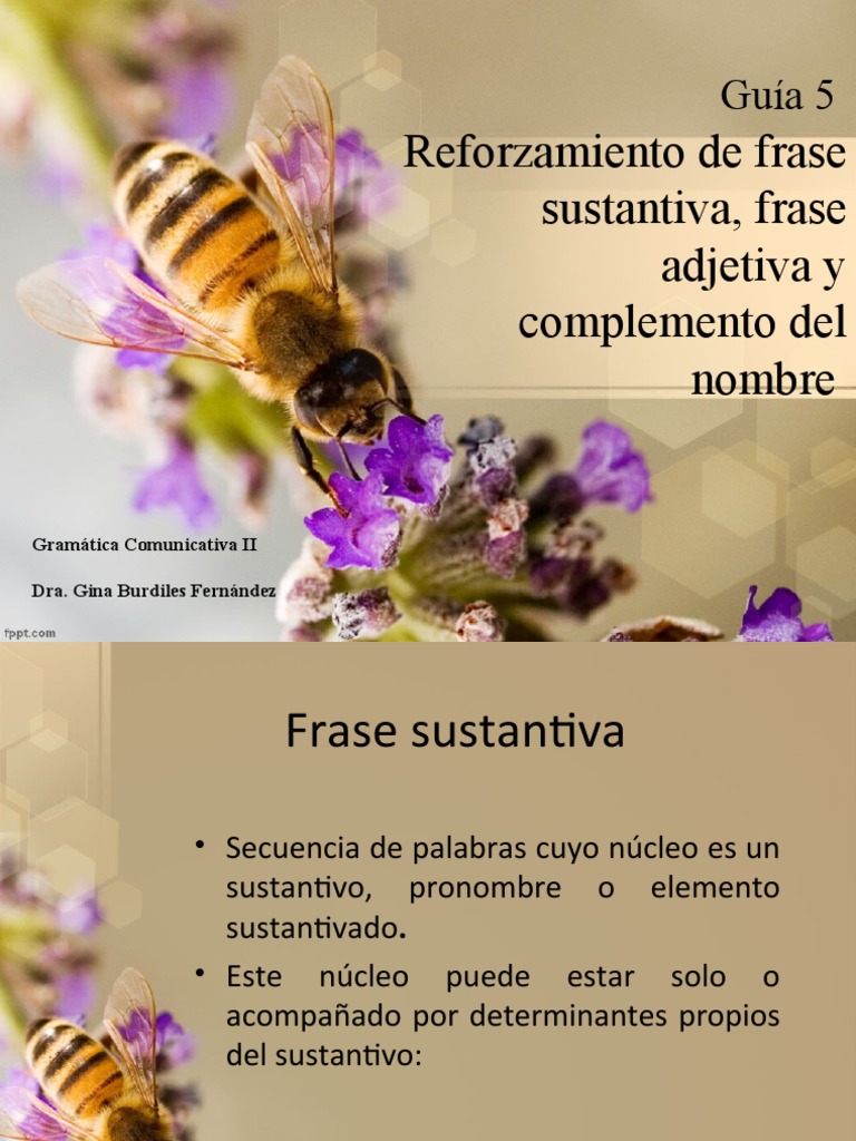 Que Es Frase Adjetiva