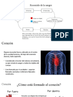 Sistema Circulatorio Corazon Guia 3