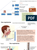 Sistema Respiratorio Apoyo 1