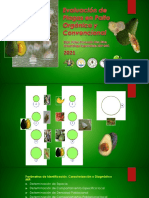 Modulo10 Evaluación Plagas Palto Mar2021