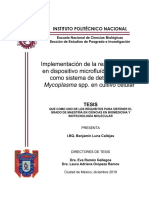 Tesis de Maestría Benjamín Luna Callejas Encb-Ipn