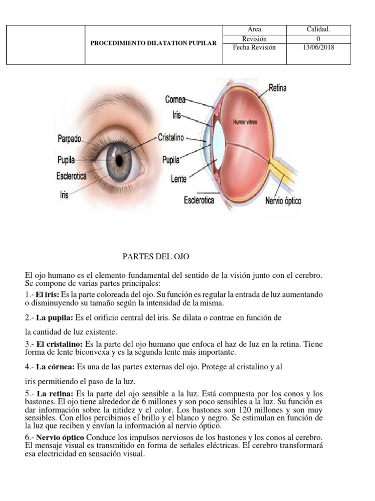 Procedimiento de Dilatacin Pupilar | PDF | Ojo humano | Percepcin visual