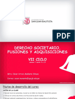 DERECHO SOCIETARIO, FUSIONES Y ADQUISICIONES Semana 09 - Sesion 17 y 18