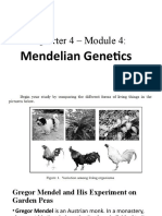 Quarter 4 - Module 4 (Genetics)