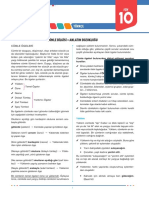 10 Cumle Bilgisi PDF