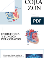 CORAZÓN