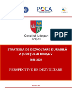 2022 - 1 nSDDJB__I__Perspective_de_dezvoltare