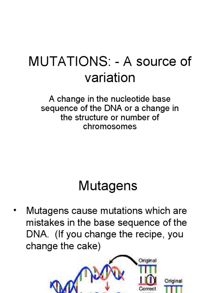 Types of Mutations PDF