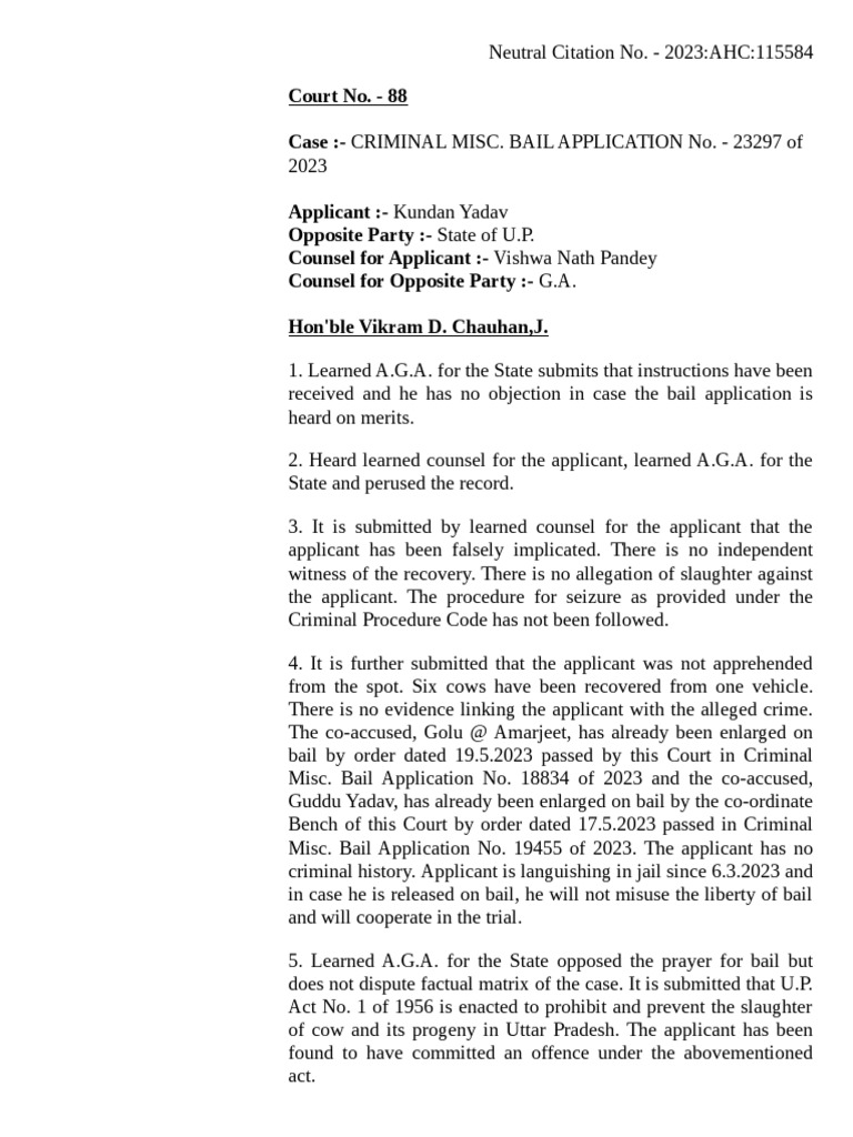 Kundan Yadav Bail Application Ruling | PDF | Bail | Criminal Law