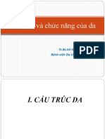 Cấu trúc da