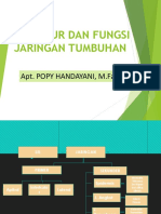 Pertemuan 3-Struktur Dan Jaringan Tumbuhan