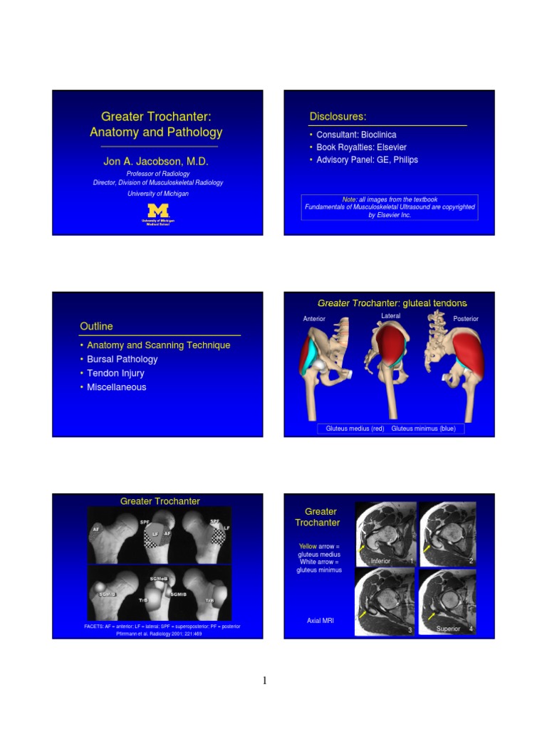Ultrasound greater trochanter | PDF | Musculoskeletal System | Medicine