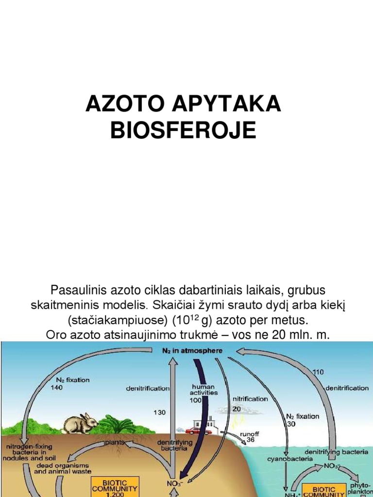 12 - Azoto Apytaka | PDF