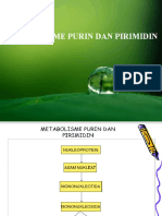 New 3 - Metabolisme Purin Dan Pirimidin