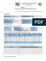 Formato de Informe Mensual - Noviembre