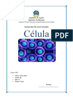 Capa Celula