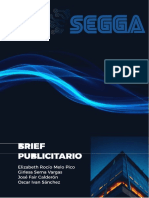 Brief Sega1