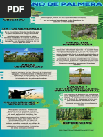 Ecosistema Pacal: Características y Importancia | PDF | Entorno natural ...