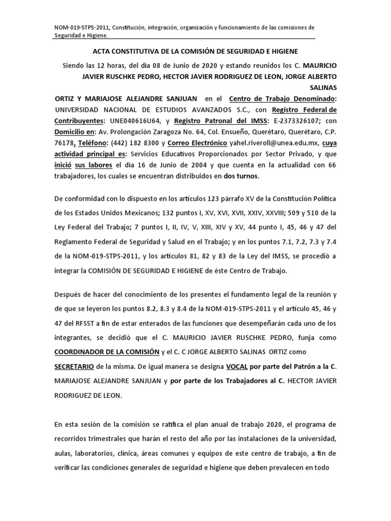 Acta Constitutiva CSH | PDF | Lavado de manos | Salud pública