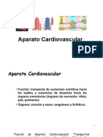 Aparato Cardiovascualr