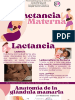 Lactancia Materna