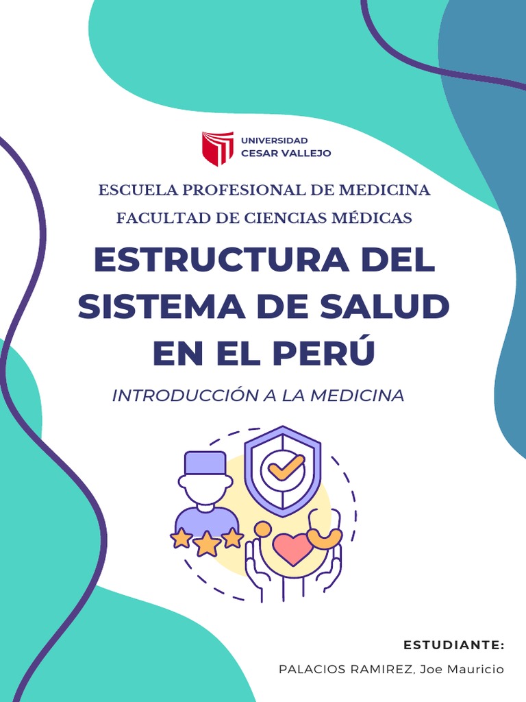Estructura del Sistema de Salud en Perú | PDF | Perú