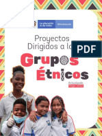 Proyectos Dirigidos A Los Grupos Etnicos