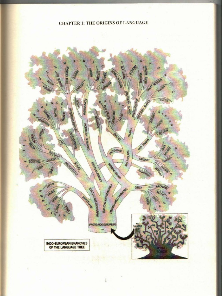The Origin Of Languages David Rives