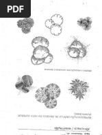 representação grafica de plantas-paisagismo