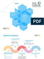 Diagrama de Procesos Lanzamiento SAP