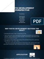 Youth Development Perspective