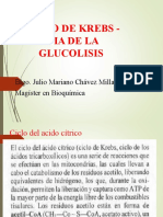 Ciclo de Krebs y Via de La Glucolisis Fizab 2023 I