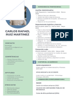 CV Carlos Ruiz M