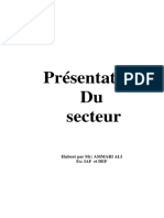 Presentation Du Secteur