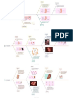 1ER TRIMESTRE - Merged