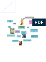 Relaciones Entre Calidad Ambiental y Calidad de Vida en Lima