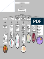 Mapa Conceptual de La Adolescencia 4