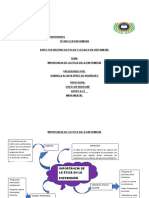 Mapa Mental de La Enfermeria 1