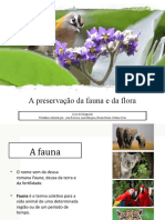 A Preservação Da Fauna e Da Flora