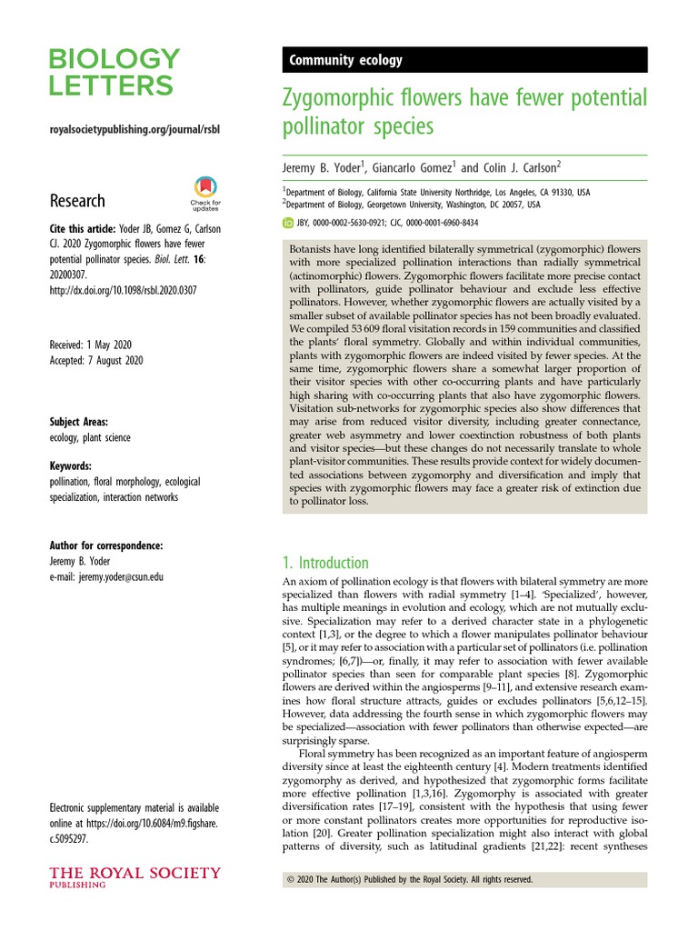 Zygomorphic flowers have fewer potential pollinator species PDF Flowers Petal