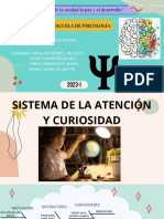 Sistema de La Atención y Curiosidad