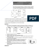 Travaux Dirigés de La Terminale S N°4