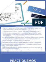 Test de Apercepcion Infantil Cat-A