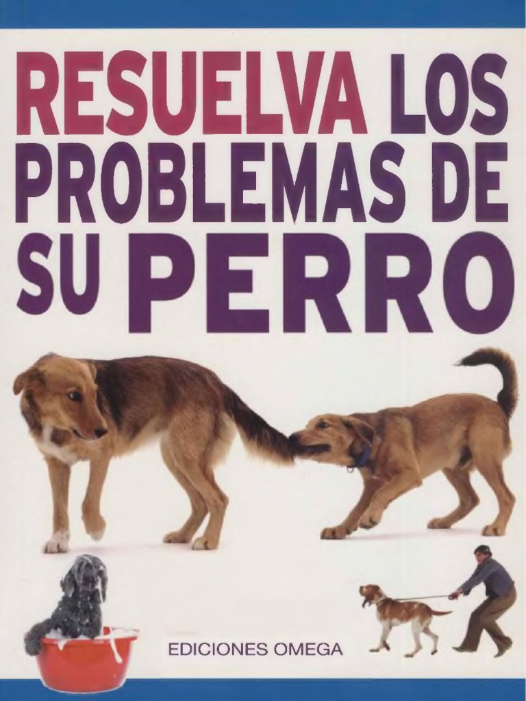 Doggy Problems Solved By O'Neill, Amanda (9781842862179 - Foto 11