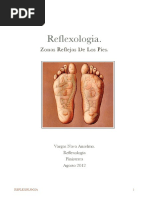 Mapa Reflexología Podal Órganos | PDF