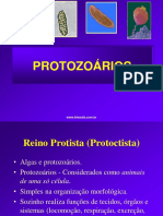 5 Protozoarios
