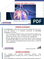 Ventilation of The Lungs - Lesson Notes CIE