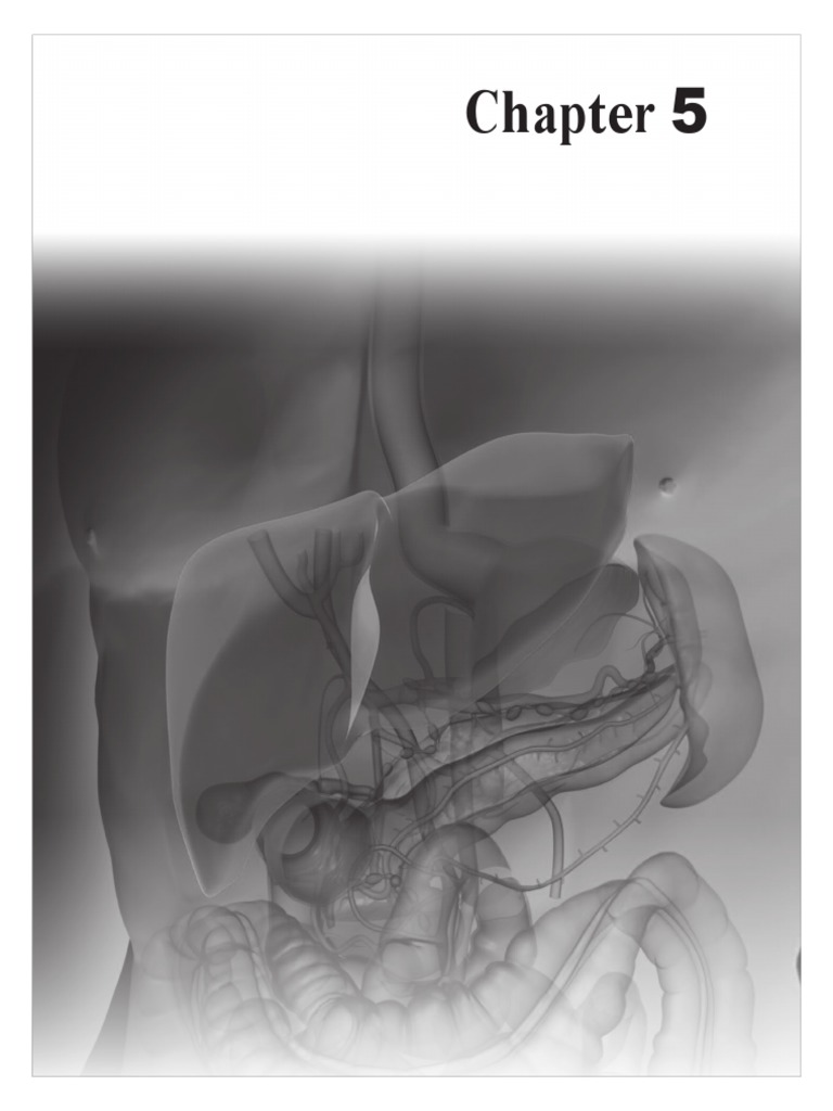 Chapter 005 Questions PDF Digestion Gastrointestinal Tract