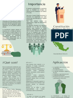 Triptico Constitución Política