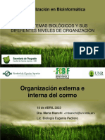 Tarde18.04.2023 - Nivel Tisular y Orgánico - Organización Ext. e Int. Del Cormo